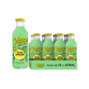 Calypso Kiwi Lemonade – Pack de 12 Bouteilles 473ML | Limonade Saveur Kiwi