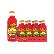 Calypso Paradise Punch Lemonade – Pack de 12 Bouteilles 473ML | Limonade Punch Paradisiaque