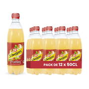 Schweppes Apple – Pack of 12 Bottles 50CL | Sparkling Apple Drink