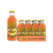 Calypso Southern Peach Lemonade – Pack de 12 Bouteilles 473ML | Limonade Pêche du Sud